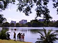 English: Ibirapuera Park