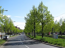 De straat gezien vanaf de Platz des 9. November