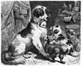 Die Gartenlaube (1869) b 759.jpg In der Hundekinderstube. Originalzeichnung von F. Specht.