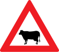 13a: Animals (cow)