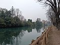 Il Sile a Treviso lungo viale Jacopo Tasso.