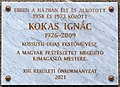 Kokas Ignác