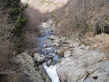 La Dourbie (rivière).