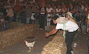 Palio dei polli 2007