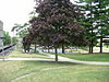 Photo taken from the perspective of where the Ohio National Guard soldiers stood when they opened fire on the students