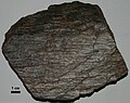 Phyllite