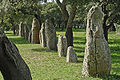 Menhir Pranu Mutteddu (Goni, Sardinia)