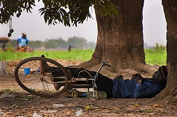 Sieste à l'ombre des manguiers à Ouagadougou (Burkina Faso). (définition réelle 2 991 × 1 977)
