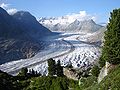 9.11 - 15.11: Il glatscher d'Aletschgletscher cun schembers (Pinus cembra) a l'endretg.