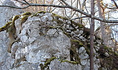 Bild 4: Futtermauereste an der westlichen Felsspitze der Unterburg