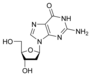 Estructura química de la desoxiguanosina