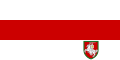 白俄罗斯海关署旗帜