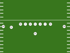 Miami Wildcat Formation.png