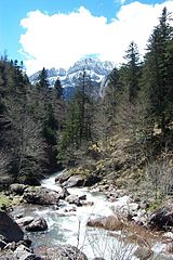 Selva de Oza. Aragón Subordán river.