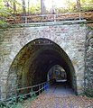 Tunnel bei der Papiermühle unter der Bahnstrecke Weimar–Gera