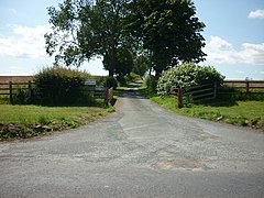 Whin Lane to Low Sober Farm - geograph.org.uk - 2526088.jpg