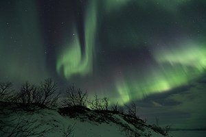 Winner of Wiki Loves Earth 2018 in Sweden