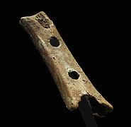 Divje Babe flute (Late Pleistocene flute)