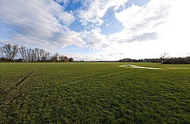 Floodplain in Vach LSG Rednitz-, Pegnitz- und Regnitztalsystem 2023-02-19 35.jpg