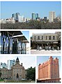 Fort Worth Montage