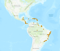 Geographic Range of Aristolochia trilobata.png