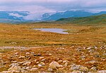 Hardangervidda