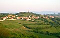 The Goriška Brda wine region