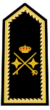 General de División