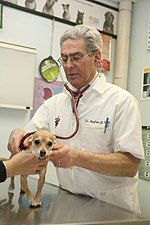 Thumbnail for Veterinary medicine in the United States