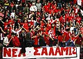 Nea Salamina Fans