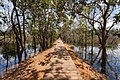 59 Neak Pean, Angkor, Camboya, 2013-08-17, DD 01 uploaded by Poco a poco, nominated by Poco a poco