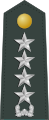 Đại tướng Thủy quân Lục chiến Hàn Quốc[2]
