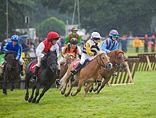 Des enfants montés sur leurs poneys et habillés en jockey sont au grand galop entre deux haies.