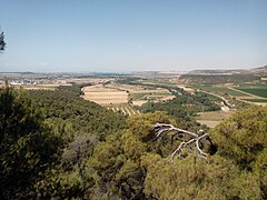 Vista de Carcastillo desde Larrate.jpg