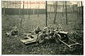 Postcard of the 1 Königlich Sächsische Maschinengewehr-Abteilung Nr. 12 (Royal Saxon Machine Gun Detachment No. 12) with an MG 01 in Dresden, 1908.