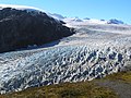 Exit Glacier