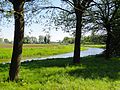 Kanaal Buinen-Schoonoord