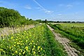 Friesche Veen en Polder het Oosterland