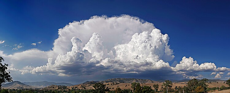 Кучево-дождевые облака (Cumulonimbus capillatus incus)