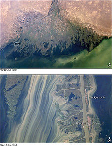 Detall del Delta del Volga. La baixa energia de la conca receptora ha permès el desenvolupament de canals ramificats
