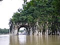 Elephant Trunk Hill on Li River, the symbol of Guilin