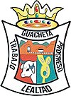 Official seal of Guachetá