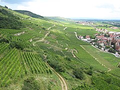 Juillet 2007 - Koenigsburg 23.jpg