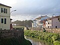 Il corso del Pescia di Pescia nel centro del paese verso nordest