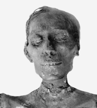 Glava Tutmozove mumije
