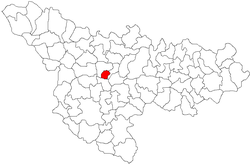Kota Timisoara