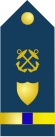 Chief Warrant Officer 4