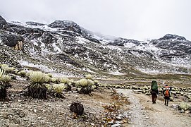 Alpska tundra (ETH), Sierra La Culata