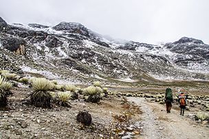 Alpine tundra climate (ETH) in Sierra La Culata