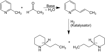 (±)-Coniine Synthesis V.2.svg